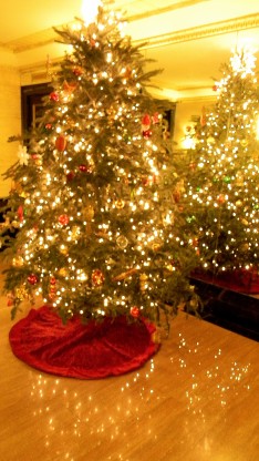 Lobby Christmas Tree